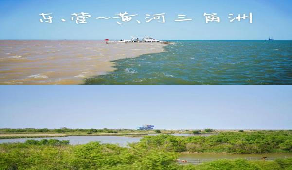 三角洲行动热成像瞄具八倍镜(三角洲行动中热成像八倍镜哪个最好?) 三角洲行动热成像瞄具八倍镜(三角洲行动中热成像八倍镜哪个最好?)